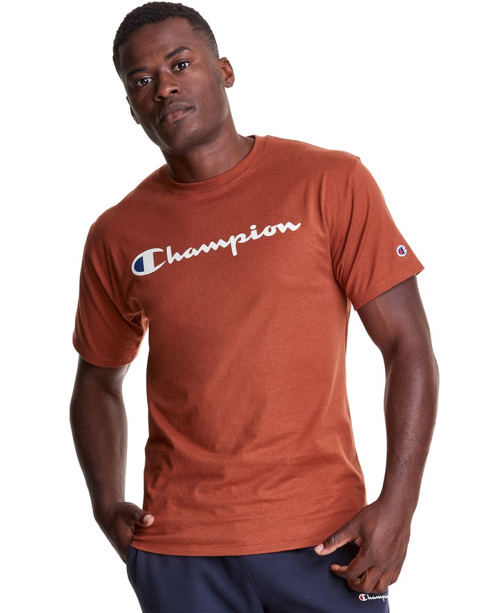 Champion Classic Jersey Script Logo Erkek Tişört Kahverengi ( VTKSZQ416 )